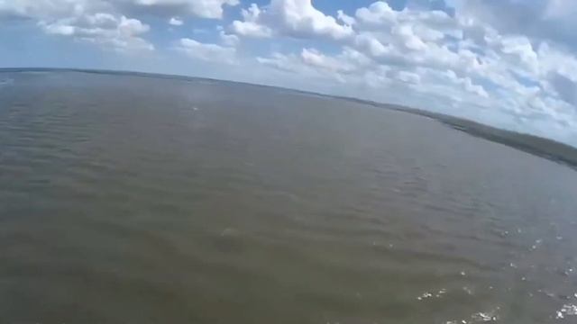 ПОДХОД САЗАНА. РЫБА ПРЁТ!