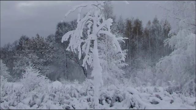 Иеромонах Роман. «Э, дорогой! А мы уже приехали...»