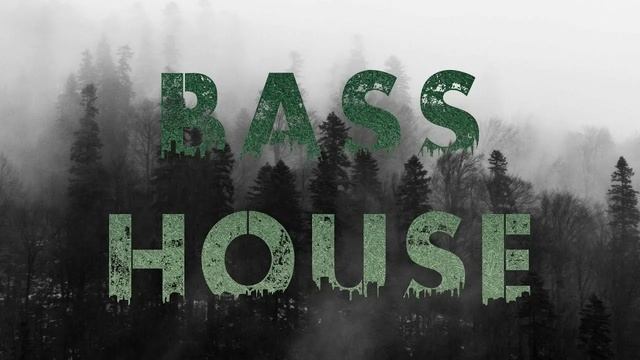 Bass House