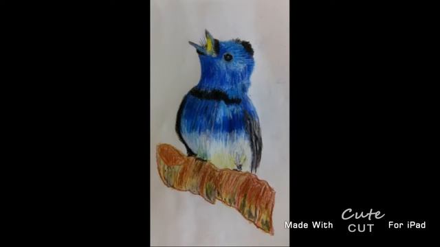 Melissa's art