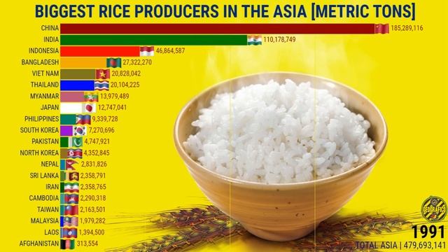 THE LARGEST RICE PRODUCERS IN THE ASIA