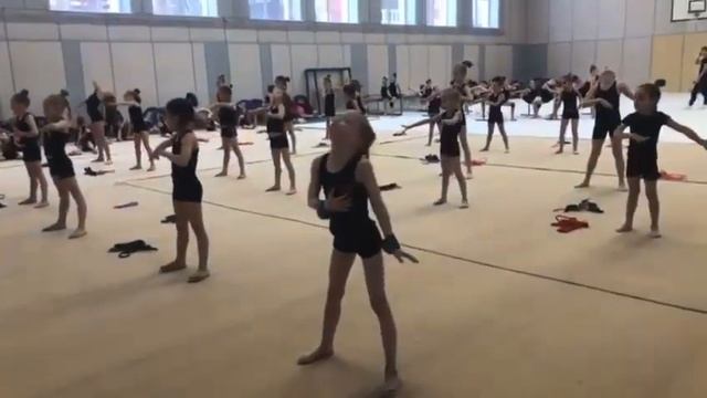 Моя тренировка
