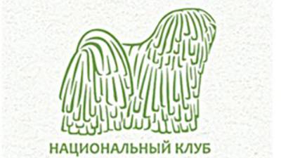 26 02 2022 Бор 2