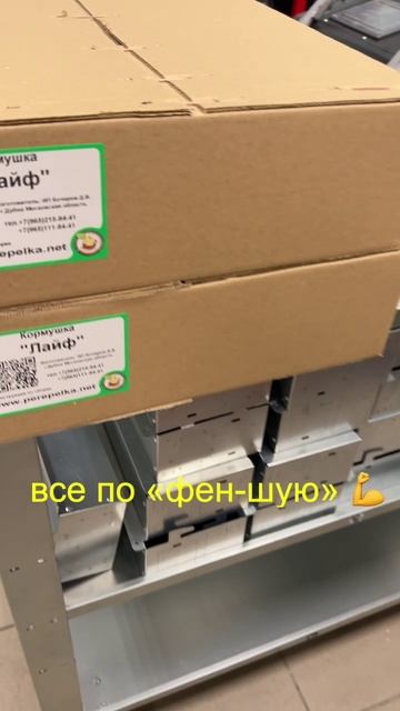 Кормушки для кур