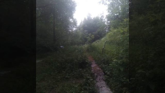 Фото из Таджикистана.могён