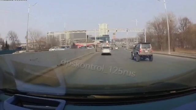 собака перебегала дорогу 😀