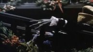 Mr Toad Being an Idiot for 5 Minutes (Wind in the Willows)