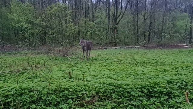 1000024838.mp4