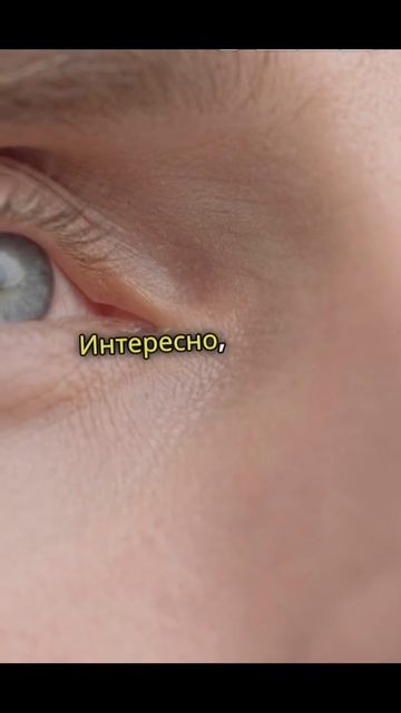 Все голубоглазые - родственники!