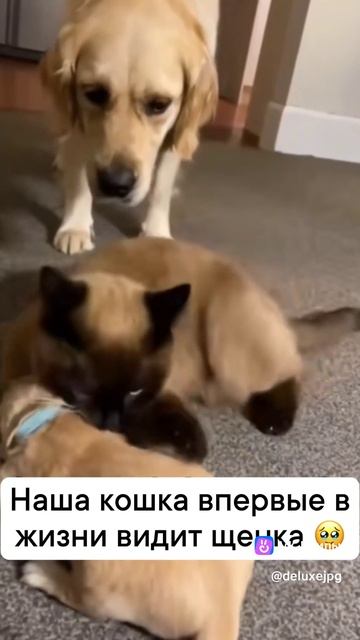 Заработок в телеграмме переходи https://clicktvf.com/ELUe