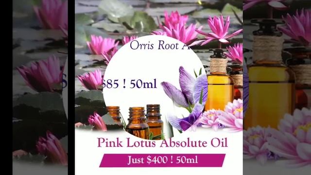 Essential Oils &  Absolute Oils from iFRAGRANCE INDIA