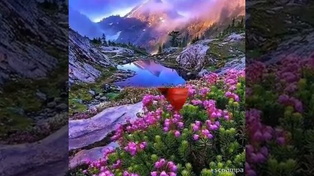 Баарына жакшылык каалайм