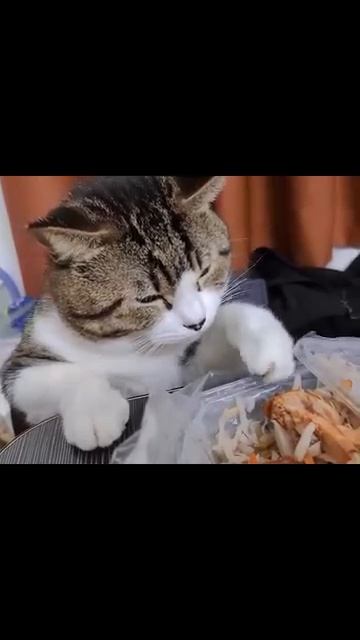 Всего-то попробовать хотел😂