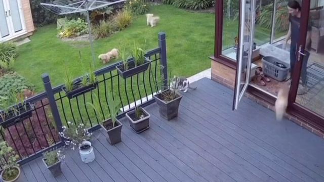 🌿 Юмор который просто есть

https://t.me/Qubitics