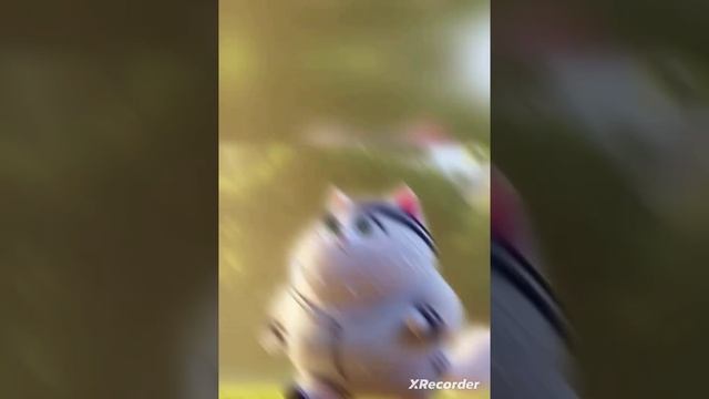Семья катёнку🐱🐱