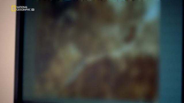 В поисках динозавров на Аляске