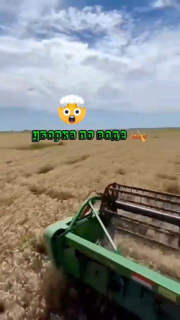 уборка идёт прямо по воде 🚜👍#уборка #поле #уборкахард #комбайн #топ #в рек