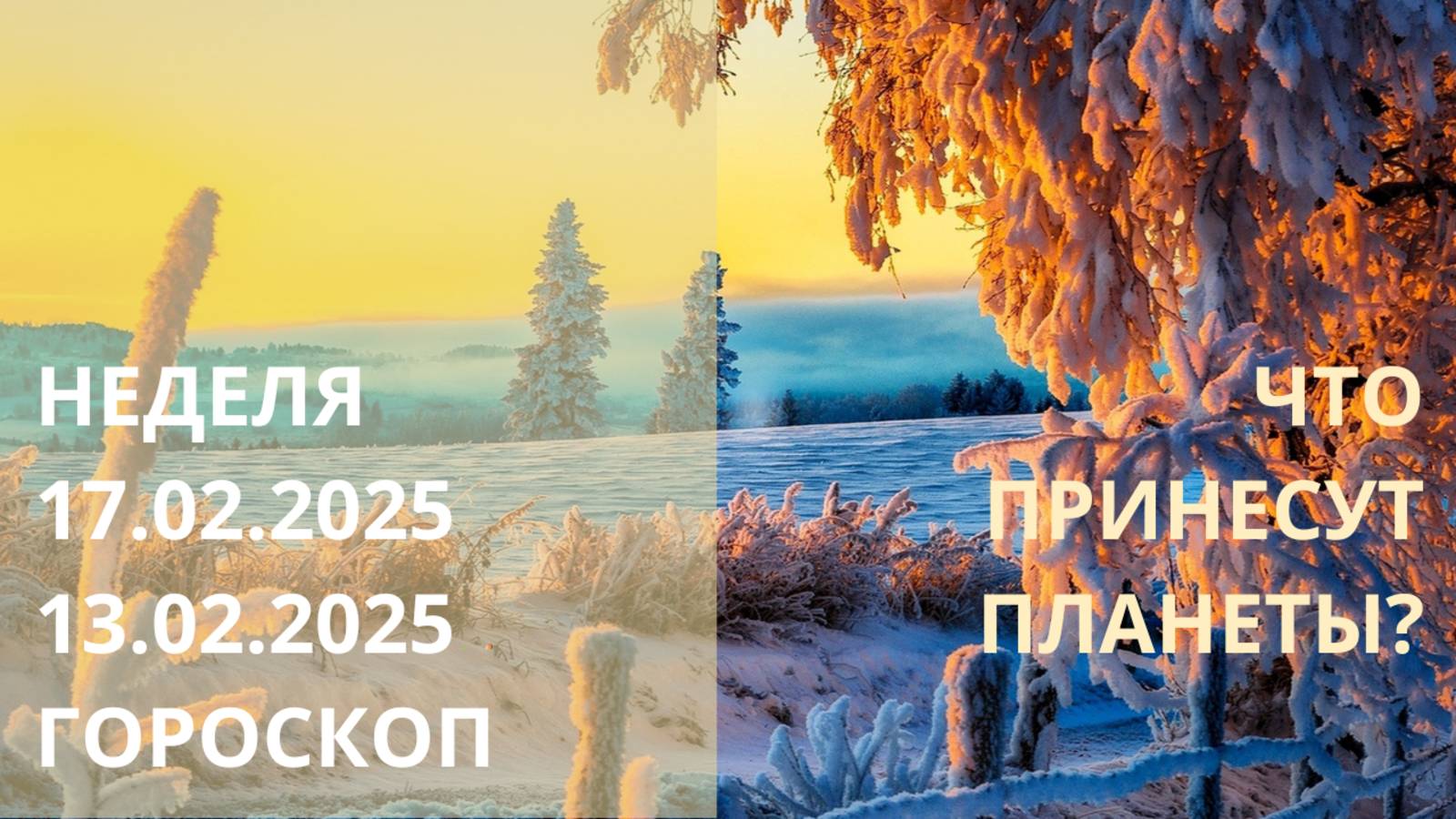 ⭐ ПРОГНОЗ НА НЕДЕЛЮ С 17.02.2025 ПО 23.02.2025 ⭐ Контакты floransia@yandex.ru