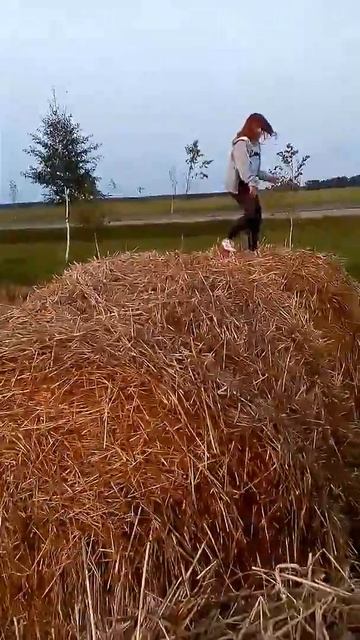 Поле со стогами  сена и Даша