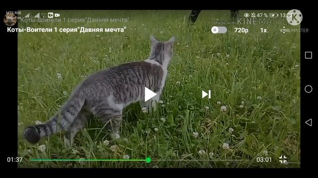 Моя реакция на котов воителей | (1 часть?)