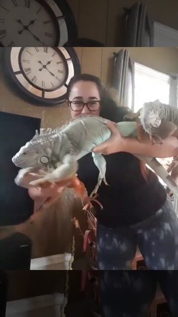 Посмеемся (244)