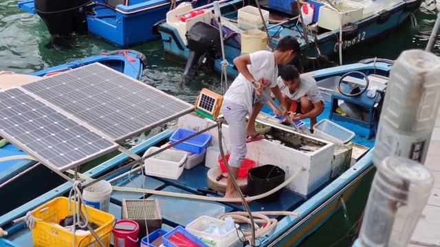 20230526 Sai Kung Seafood Market - 2