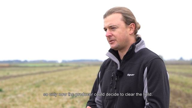 Modern cucumber production in Poland with soil-biodegradable mulch film made of ecovio®