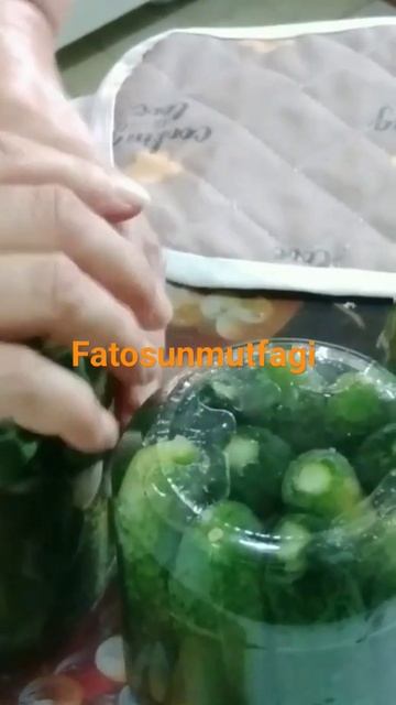 Kornişon Turşusu / Pickled Gherkins #shorts #youtubeshorts