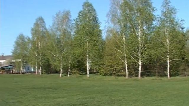 Березова Лука