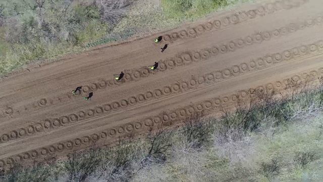 В столице реализуется весенняя посадка зеленых насаждений