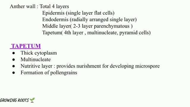 PALYNOLOGY | Structure Of Anther | Pollen grain in Malayalam | മലയാളം Botany