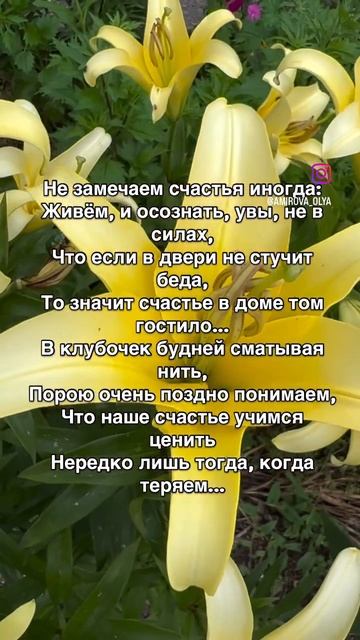 Мудрые слова