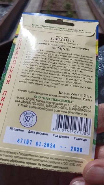 Плачевный результат всхода семян огурцов, надо подсеивать.