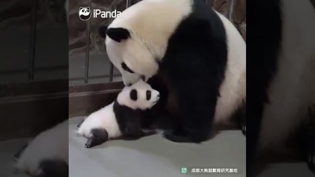 🌿 Юмор который просто есть

https://t.me/Qubitics