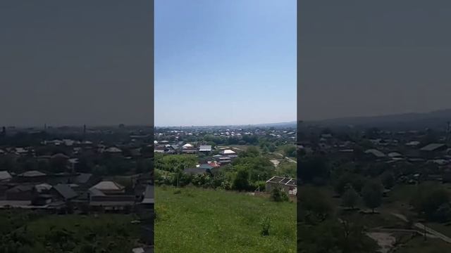 Казак собирает лечебные травы у селения Кенже.