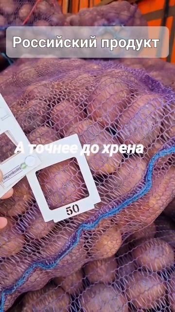 Зачем завозят импортный картофель в РФ когда своего в достатке? Ваше мнение?