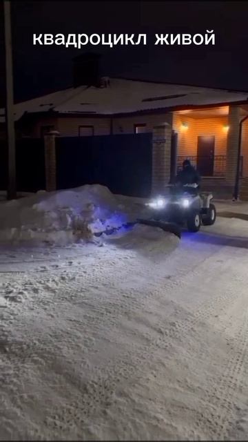 надежный и бюджетный квадроцикл Авантис форестер 200# микилон200# айрад ровер 200#