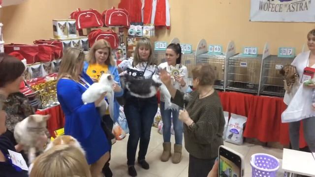 Выбор Лаванды, Емельянова