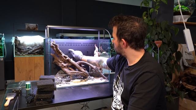 UNS Foresta 60E Paludarium einrichten!