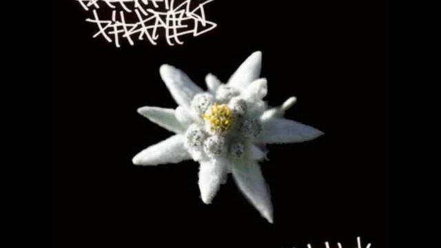 Edelweiss Pirates - In My Life