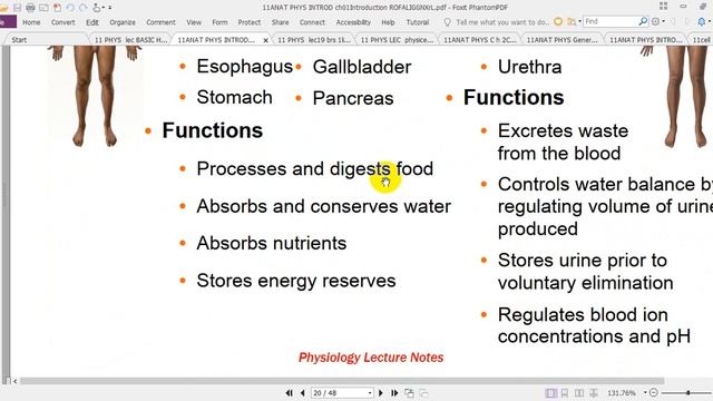 Physiology Lec. INTROD Professor Ali Altimimi Prof. Physiology,MbCHB,MSC,PHD,MD.Royal College Londo