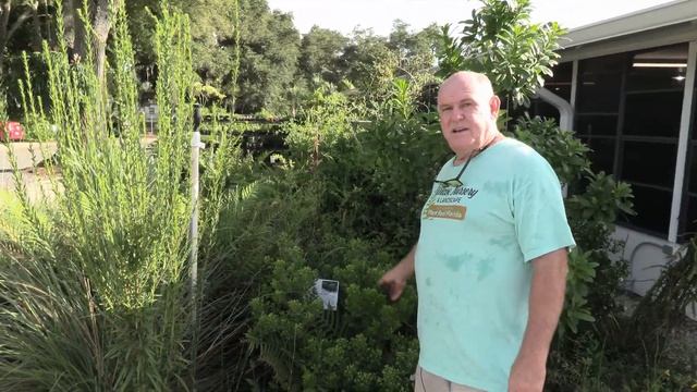 Nursery Tour Tuesday- Water Feature!