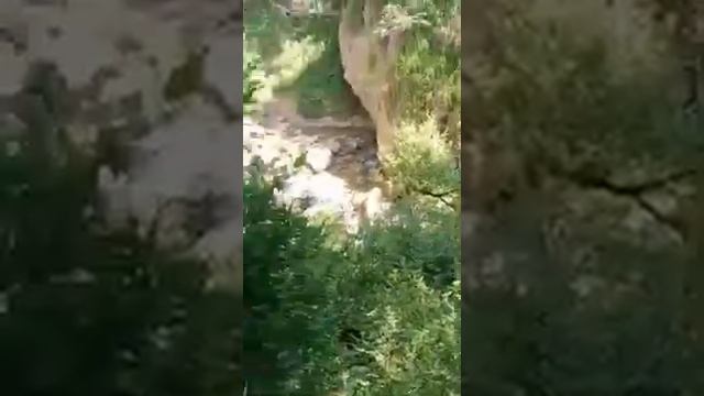 Киргизистон арстанбап кичкина шаршара