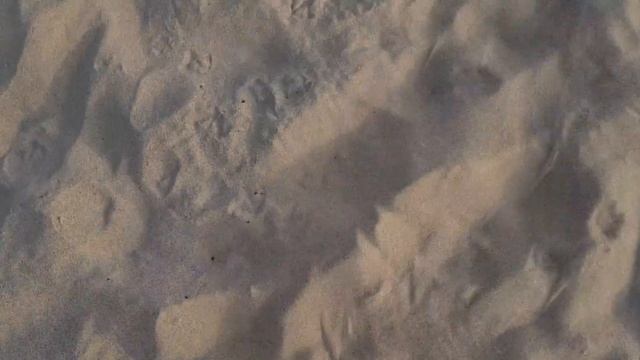 Песок, который поёт. Есть не только в Таиланде.  Балтика пляж Янтарный