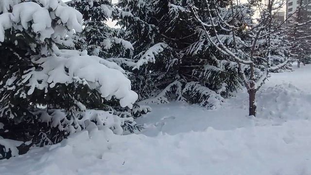 Зима в Красноярске. ❄️❄️❄️Алексей Ром