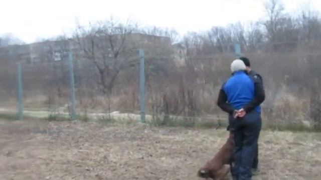 Семинар с Д.Мищенко 23.11.14 В.Луки