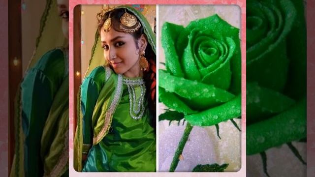 Anchal Sahu and Rose