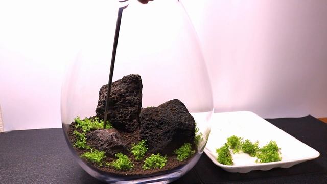 New Scape in the Baiosphere XL - Terrarium in a Vase