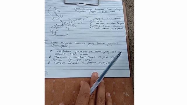 Penyebab Dan Cara Mengatasi Penyakit Gosong pada Daun Tanaman