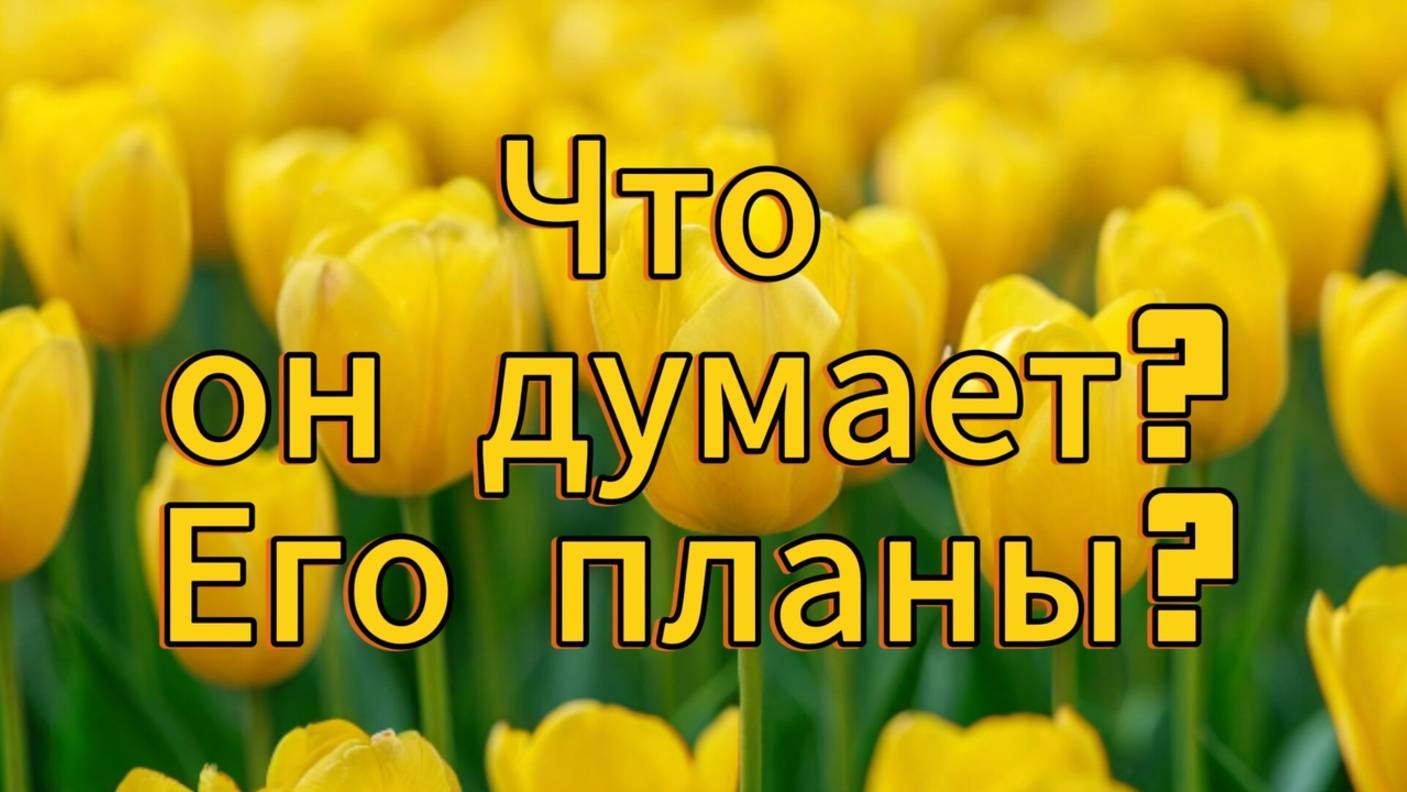 Что он думает? Его планы?